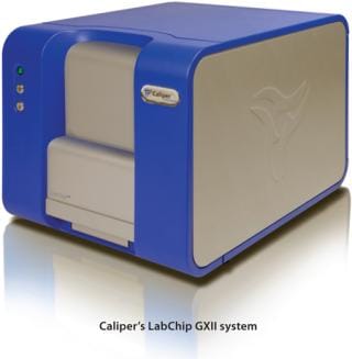 Labchip Dx Increase Efficiency and Accelerate Protein Workflows with the LabChip GXII