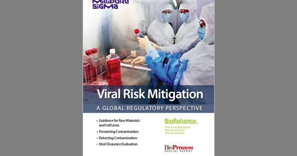Viral Risk Mitigation: A Global Regulatory Perspective