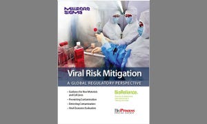 Viral Risk Mitigation: A Global Regulatory Perspective