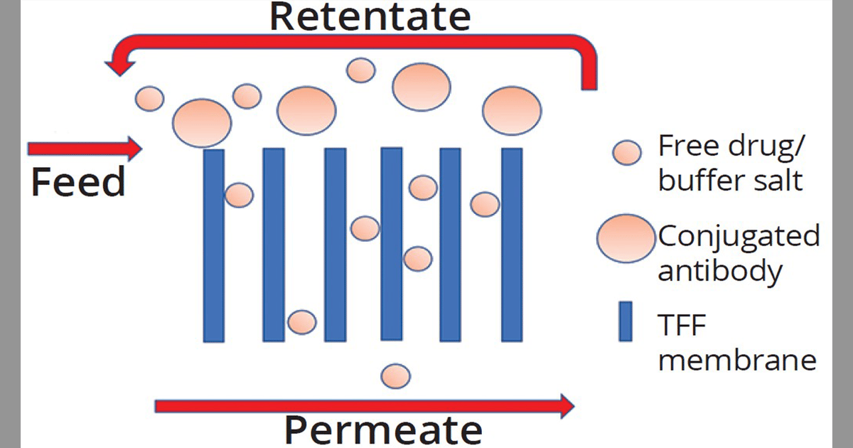 ADC Platform Process Development Using Variable Pathlength Technology