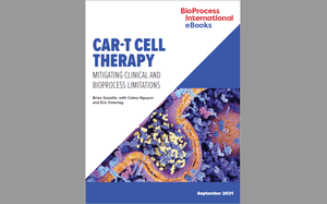 eBook: CAR-T Cell Therapy &mdash; Mitigating Clinical and Bioprocess Limitations