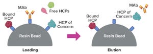 Control of Host Cell Proteins in Monoclonal-Antibody Bioprocessing: Using Proteomic Analysis To Understand Impurity Clearance and Persistence During