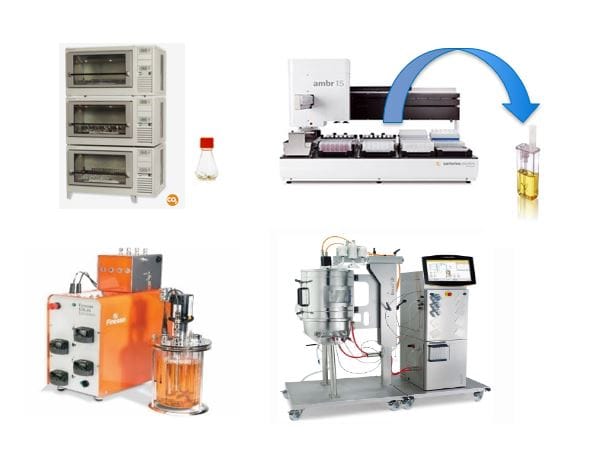 Accelerating Development and Manufacturing Platforms for Viral Vectors