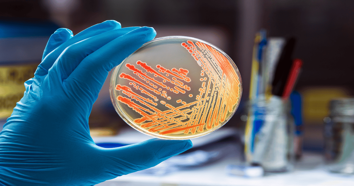 Future-Focused Contamination Control for Biopharmaceuticals