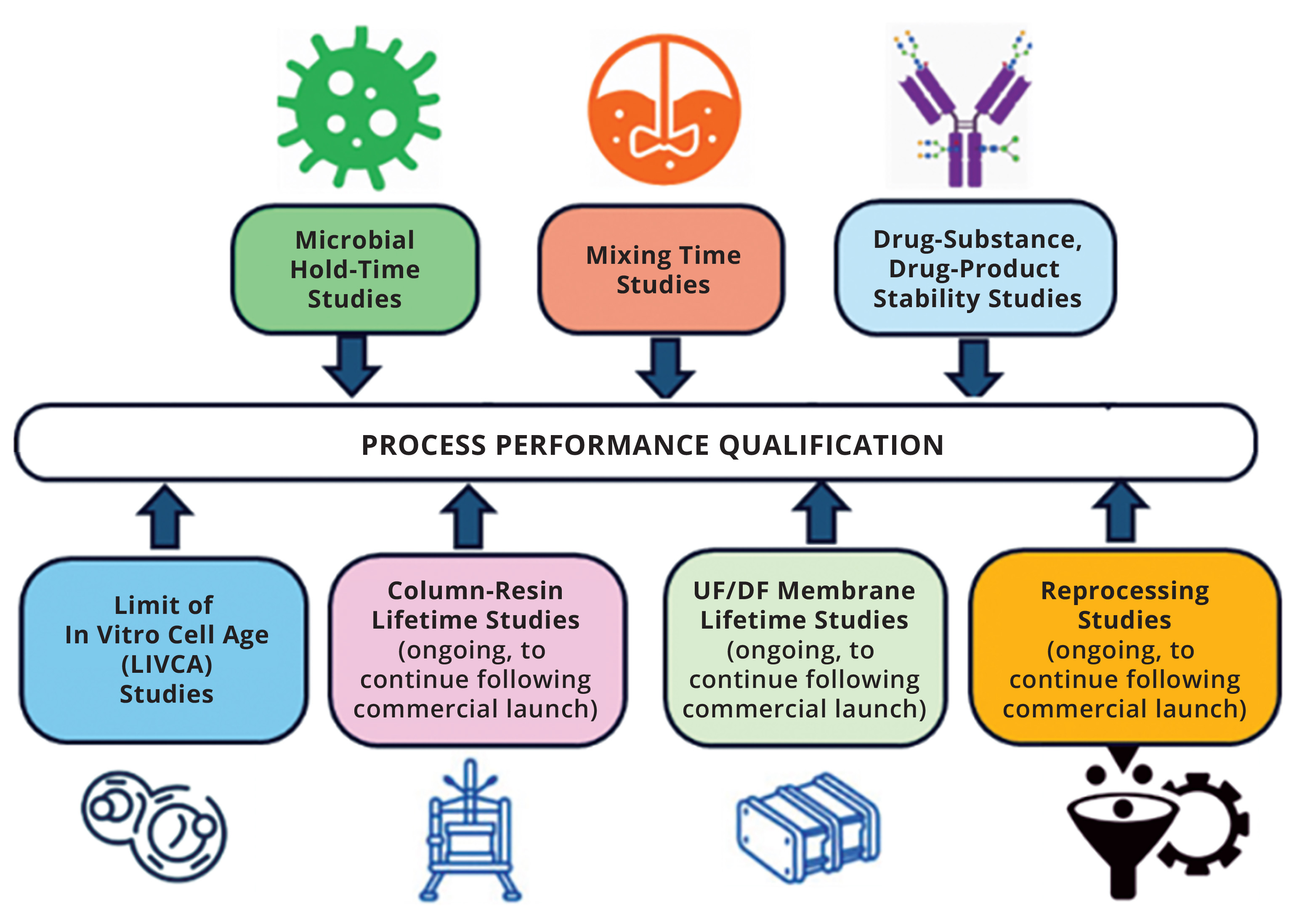 Synchronizing CMC Activities with Clinical Development