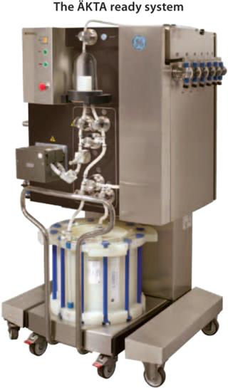 Optimization, Robustness, and Scale-Up of MAb Purification