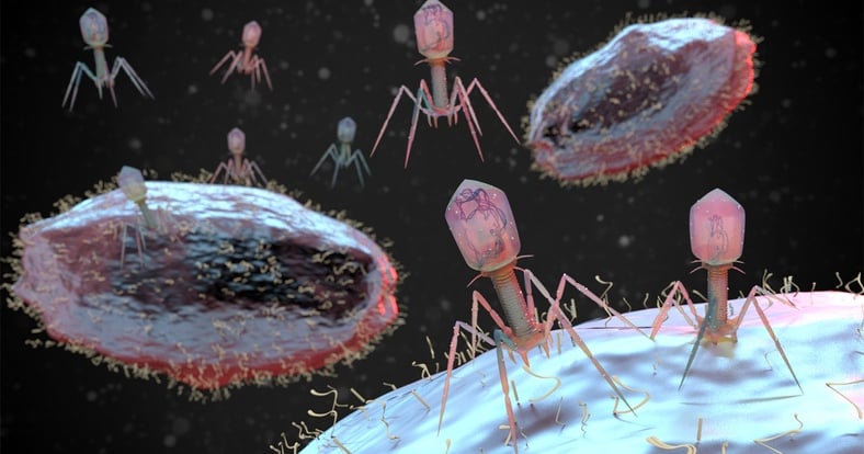 Coming of phage: BiomX building clinical plant - Bioprocess Insider