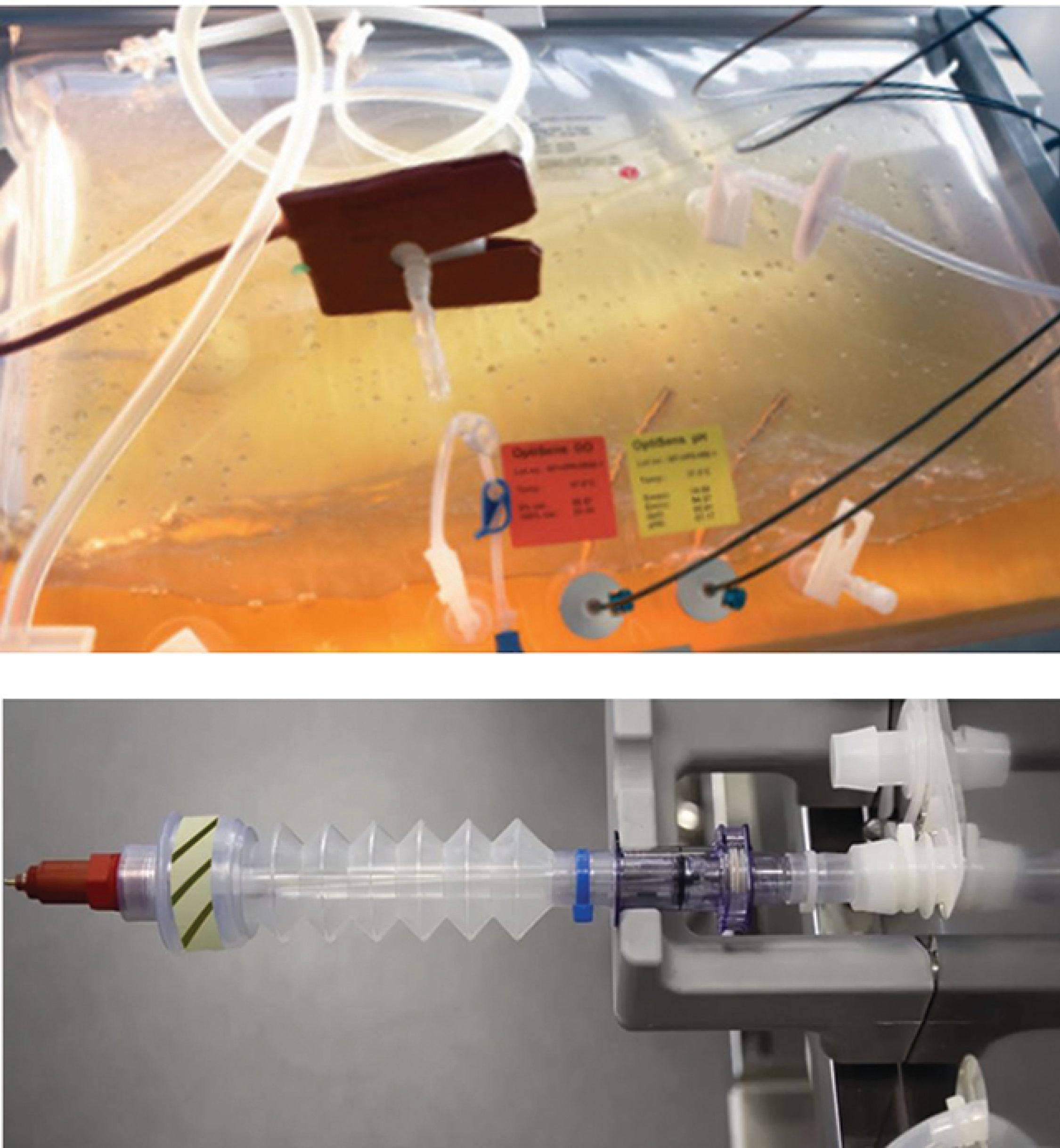INTO Single-Use Bags making bioprocess easier - BioProcess Solutions