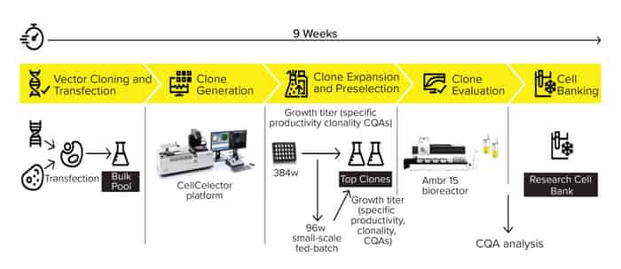 Cell Processing Lines Cell-Line Development: Next Generation Platforms - BioProcess International
