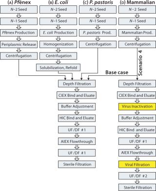 Modeling Bioprocess Cost