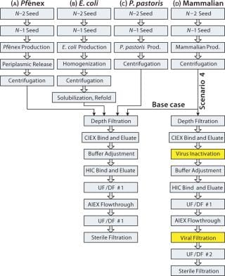 Modeling Bioprocess Cost