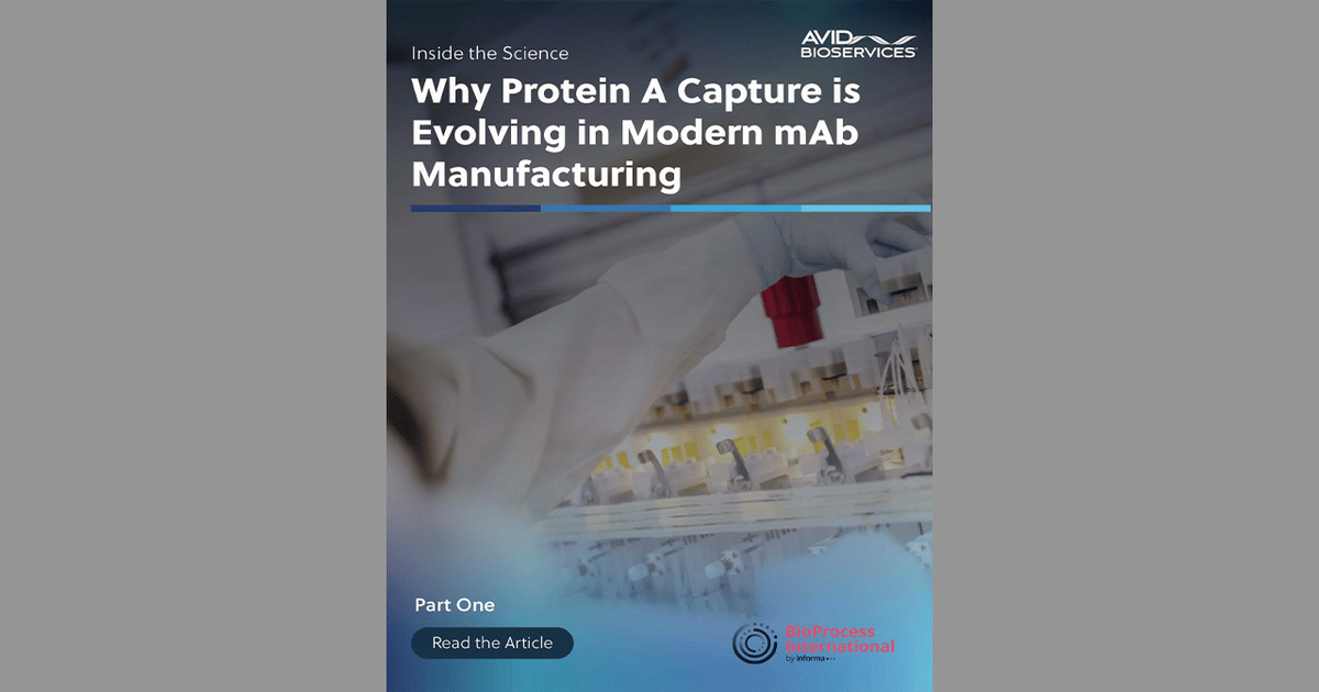 Intensifying Protein A Capture: Efficient mAb Manufacturing