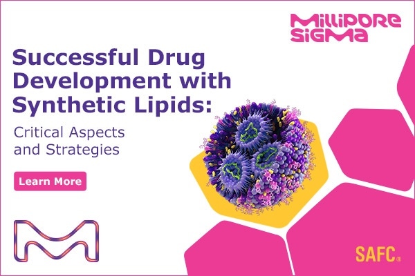Successful Drug Development with Synthetic Lipids: Critical Aspects and Strategies