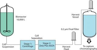 Large-Scale, Single-Use Depth Filtration Systems
