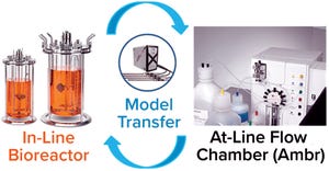 Raman Spectrometric PAT Models: Successful Transfer from Minibioreactors to Larger-Scale, Stirred-Tank Bioreactors