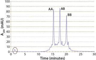 Purifying Common Light-Chain Bispecific Antibodies