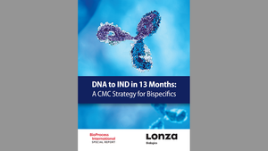 DNA to IND in 13 Months: A CMC Strategy for Bispecifics