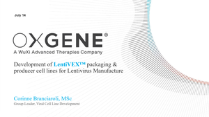 Development of LentiVEX&#x2122; Packaging and Producer Cell Lines for Lentivirus Manufacture