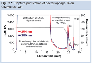 Platform Purification of Clinical-Quality Bacteriophages