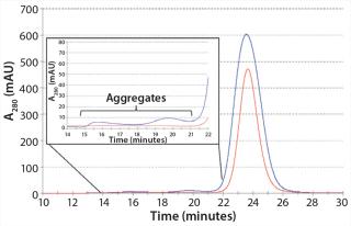 Purifying Common Light-Chain Bispecific Antibodies