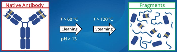 22-11-12-Sharnez-F2.jpg 22-11-12-Sharnez-F2.jpg