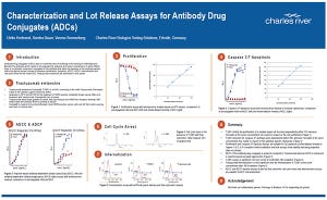 Characterization and Lot Release Assays for Antibody Drug Conjugates