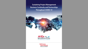 Sustaining Project Management Business Continuity and Partnerships Throughout COVID-19
