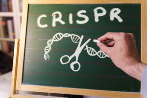 Vertex/CRISPR selects RoslinCT as CDMO for Casgevy