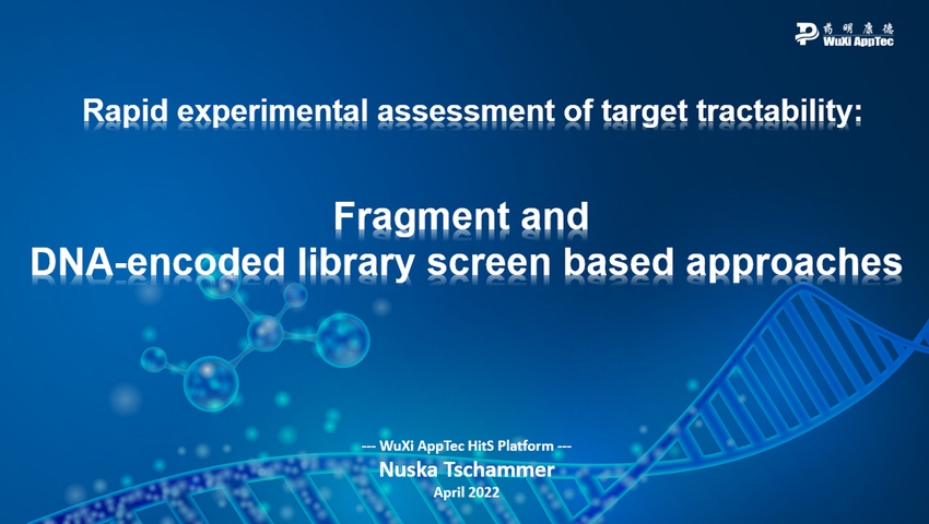 Drug Discovery: Screening Approaches for Rapid Assessment of Target Tractability