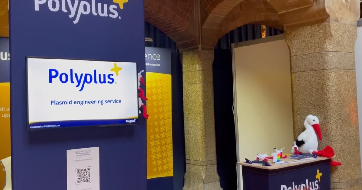 Polyplus adds plasmid DNA CDMO Xpress Bio - BioProcess Insider