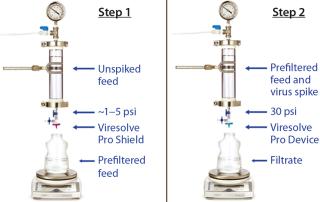 Artifacts of Virus Filter Validation
