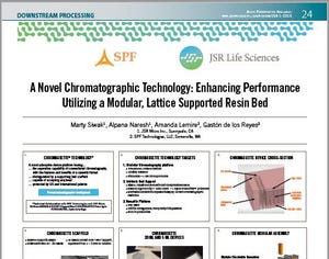 A Novel Chromatographic Technology: Enhancing Performance Utilizing a Modular, Lattice Supported Resin Bed