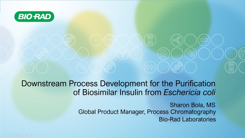Downstream Process Development for the Purification of Biosimilar Insulin from Escherichia Coli