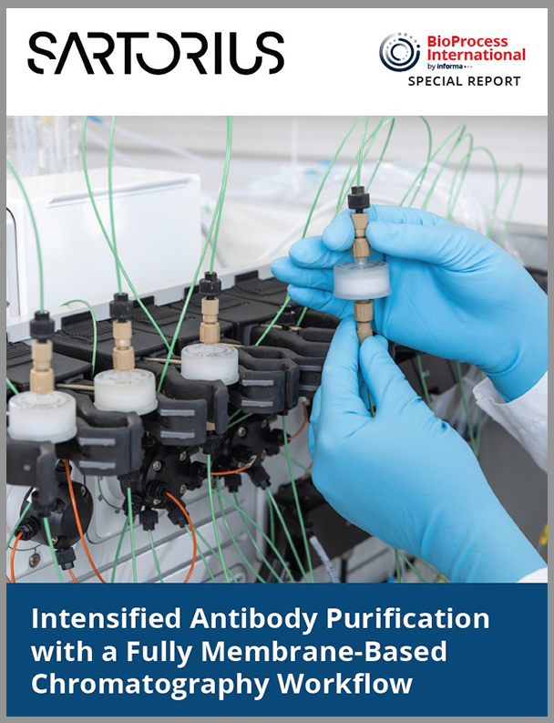 Membrane Chromatography for Antibody Purification