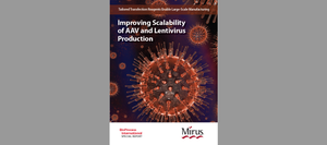 Improving Scalability of AAV and Lentivirus Production: Tailored Transfection Reagents Enable Large-Scale Manufacturing
