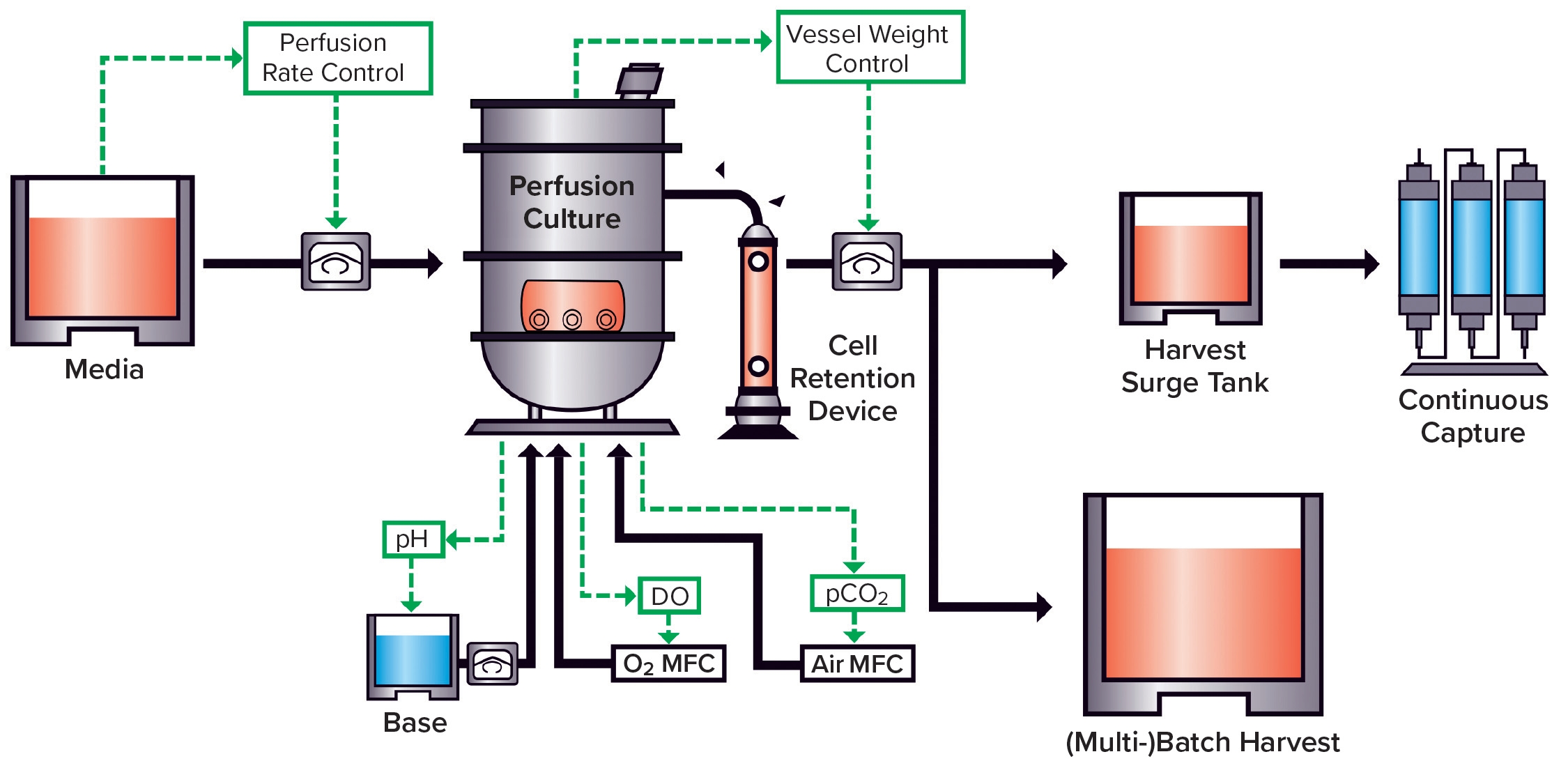 Continuous Bioprocessing Recent News | BioProcess International