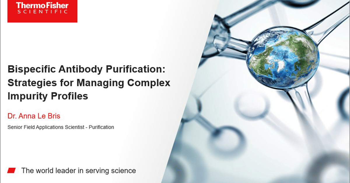 BsAb Purification: Managing Complex Impurity Profiles