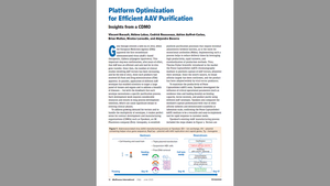 Platform Optimization for Efficient AAV Purification: Insights from a CDMO