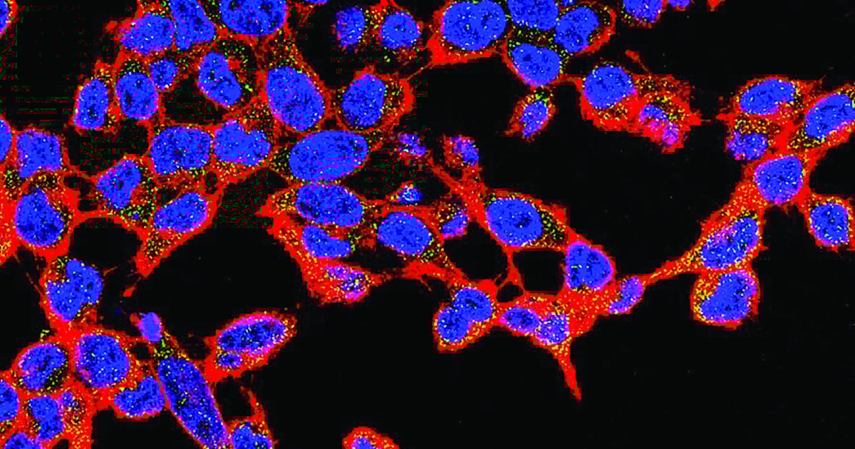 Cell-Line Development at BPI West 2021 - BioProcess International