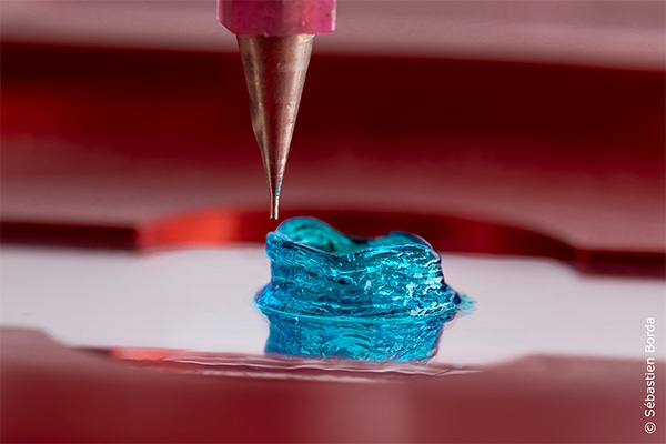 The Unique Properties of Gelatin in 3D Bioprinting