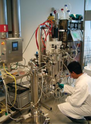 A Brief History of Perfusion Biomanufacturing