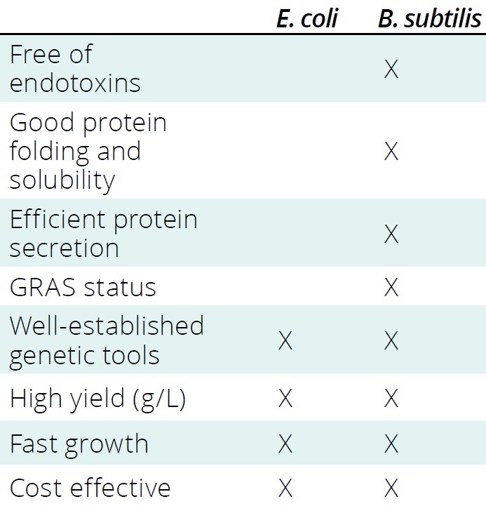 Efficient Recombinant-Protein Production