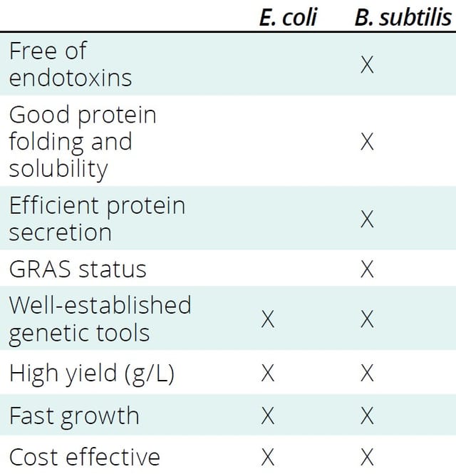 Efficient Recombinant-Protein Production