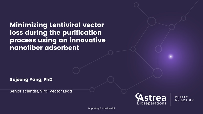 Minimizing Lentiviral Vector Loss During the Purification Process Using an Innovative Nanofiber Adsorbent