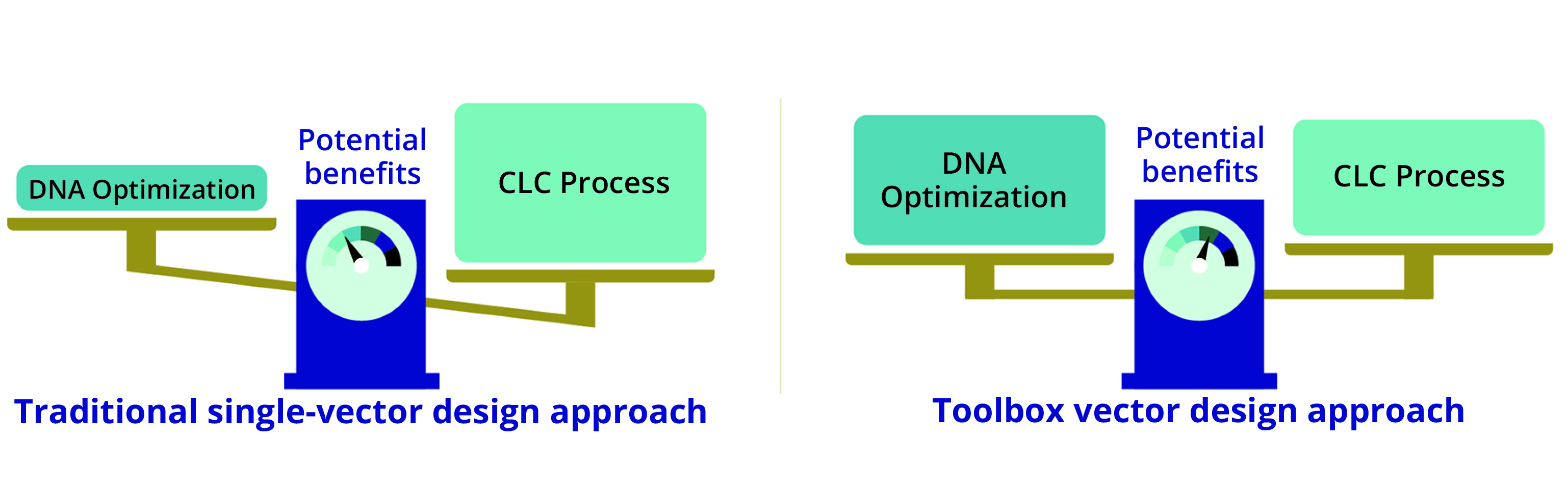 Optimizing Expression Vectors: Biotherapeutic Protein Production