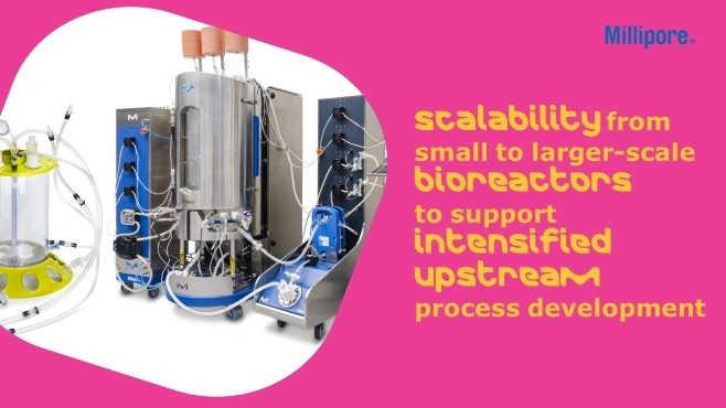 Scalability from Mobius® 3 L Single-Use Bioreactor to 50 L – 2000 L Mobius® iFlex Bioreactors to Support Intensified Upstream Process Development