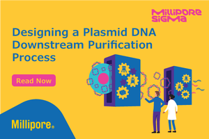 Designing a Plasmid DNA Downstream Purification Process
