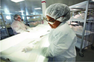 Measurement of Particulates in Single-Use Systems - BioProcess ...