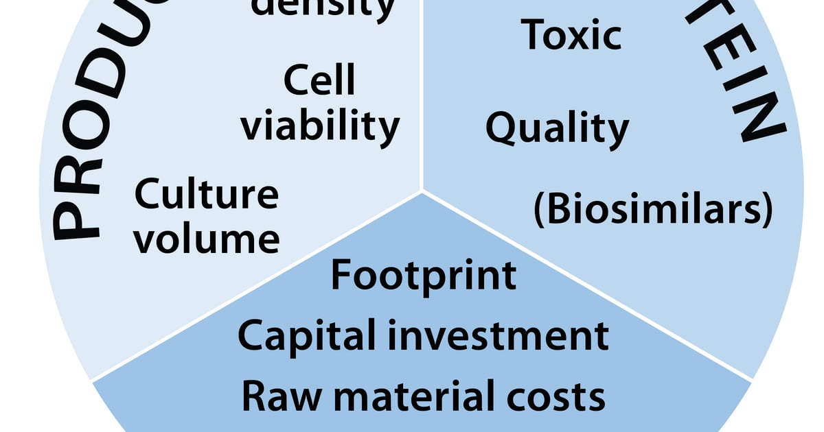 Drivers, Opportunities, and Limits of Continuous Processing