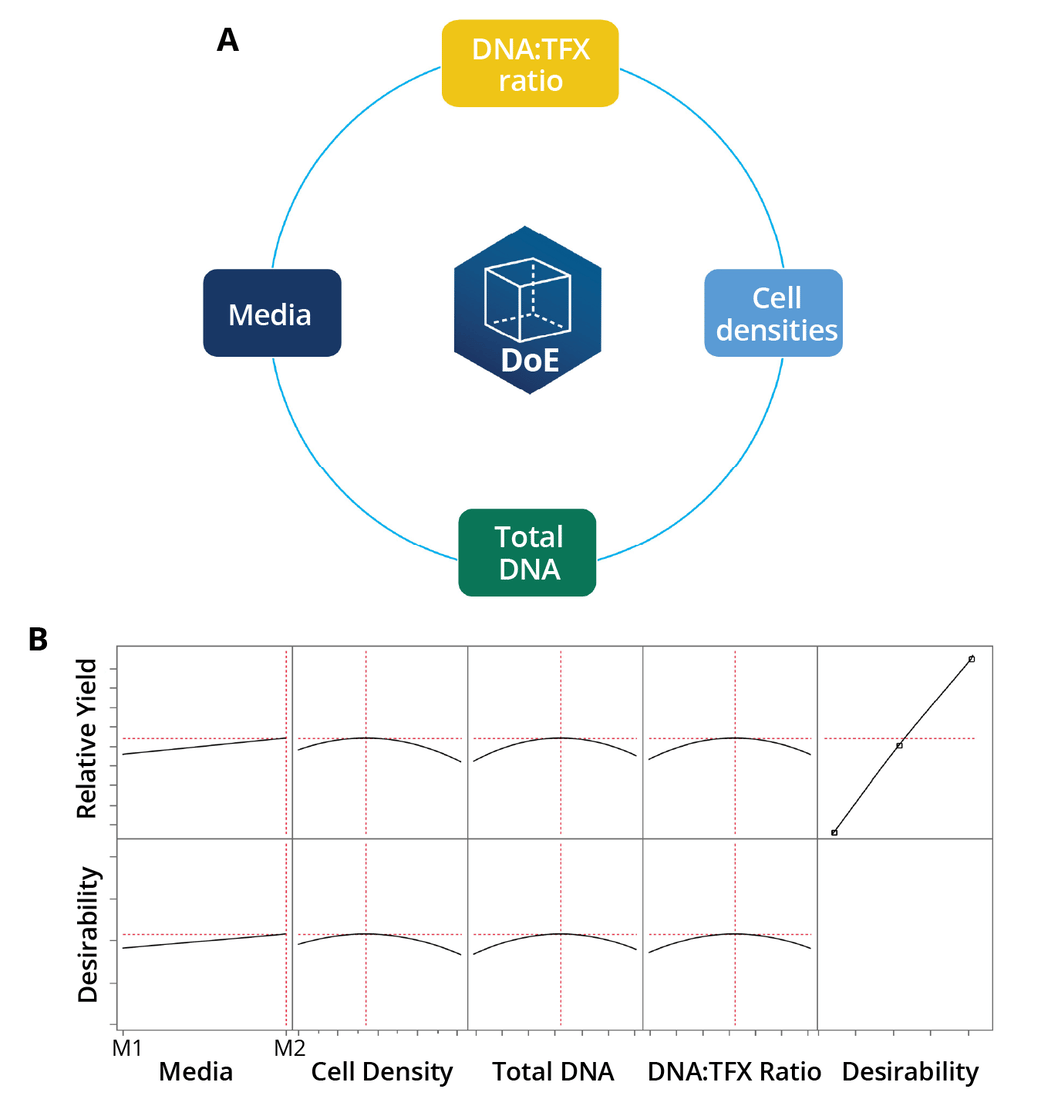 Small-Molecule Yield Enhancers in AAV Production